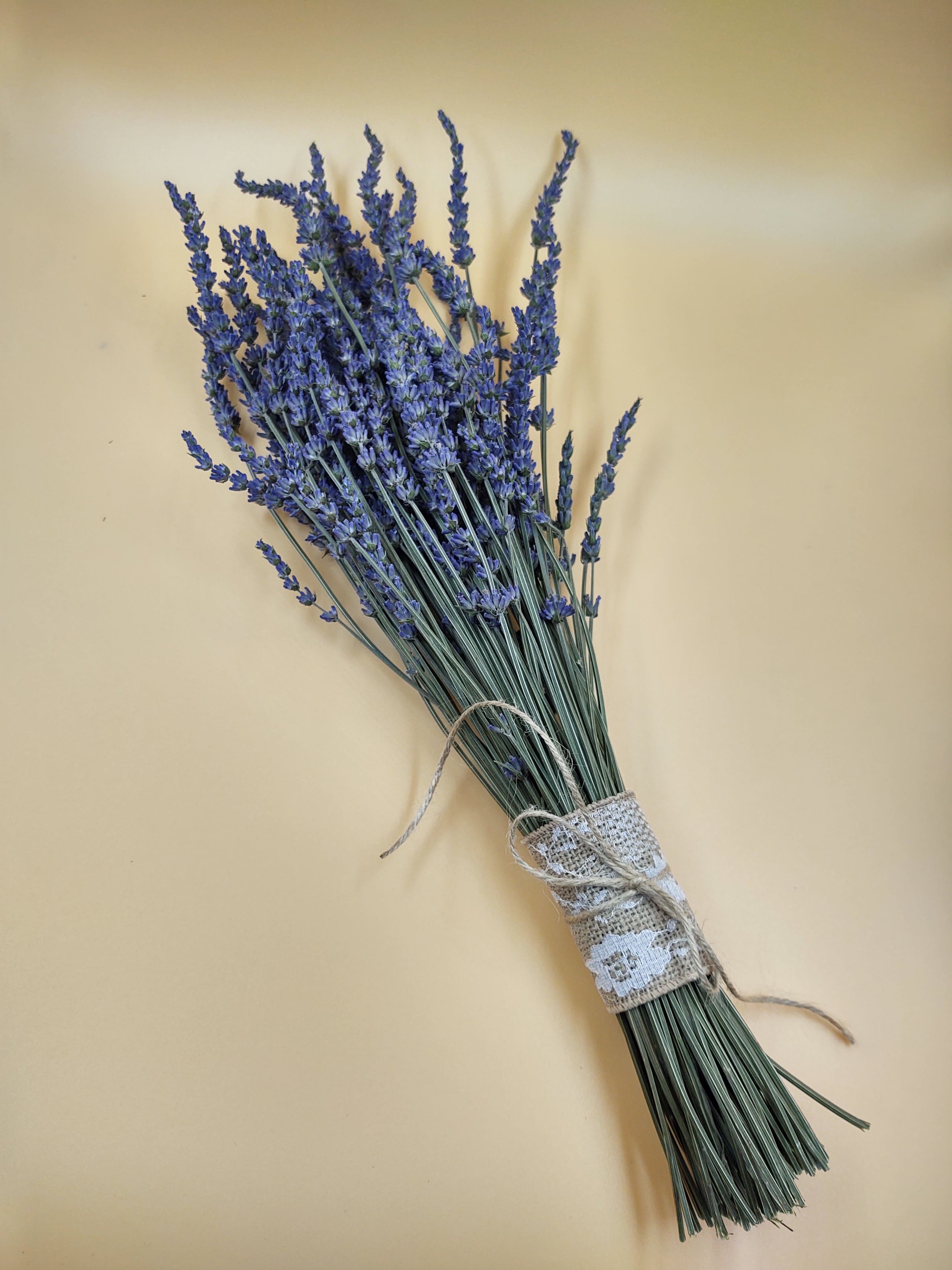 Dried Lavender Buds - Illinois